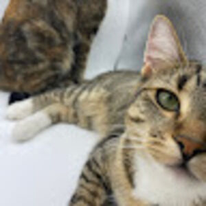 Meet your Posher, Chloe